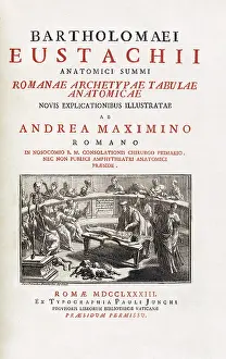 Anatomical Illustration Drucke: Tabulae anatomicae, Title Page, Eustachi, 1783