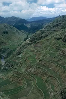 Rice Cultivation Methods Drucke: Terraces of Rice