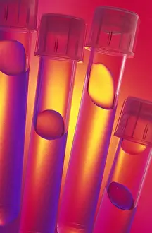 Laboratory Test Tubes Drucke: Test tubes