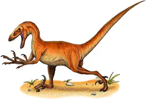 Prehistoric Animal Art Drucke: Velociraptor