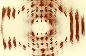 Deoxyribonucleic Acid Image Drucke: X-ray Diffraction