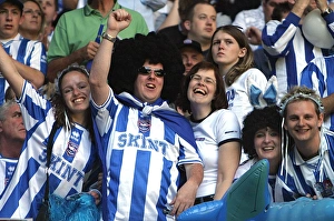 Football Supporters Cheering Drucke: 0078